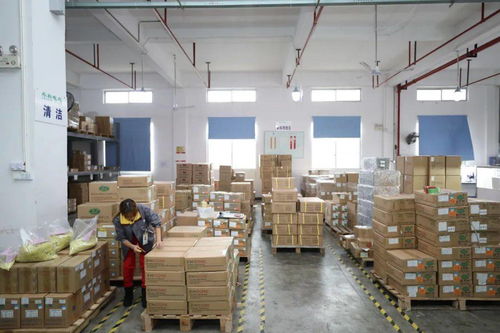 家門口的機遇 賓陽電子廠招工，提供食宿，探索互聯(lián)網(wǎng)銷售新方向