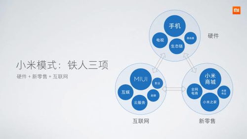 雷軍的痛苦與小米的逆轉 解碼互聯(lián)網(wǎng)銷售背后的關鍵邏輯